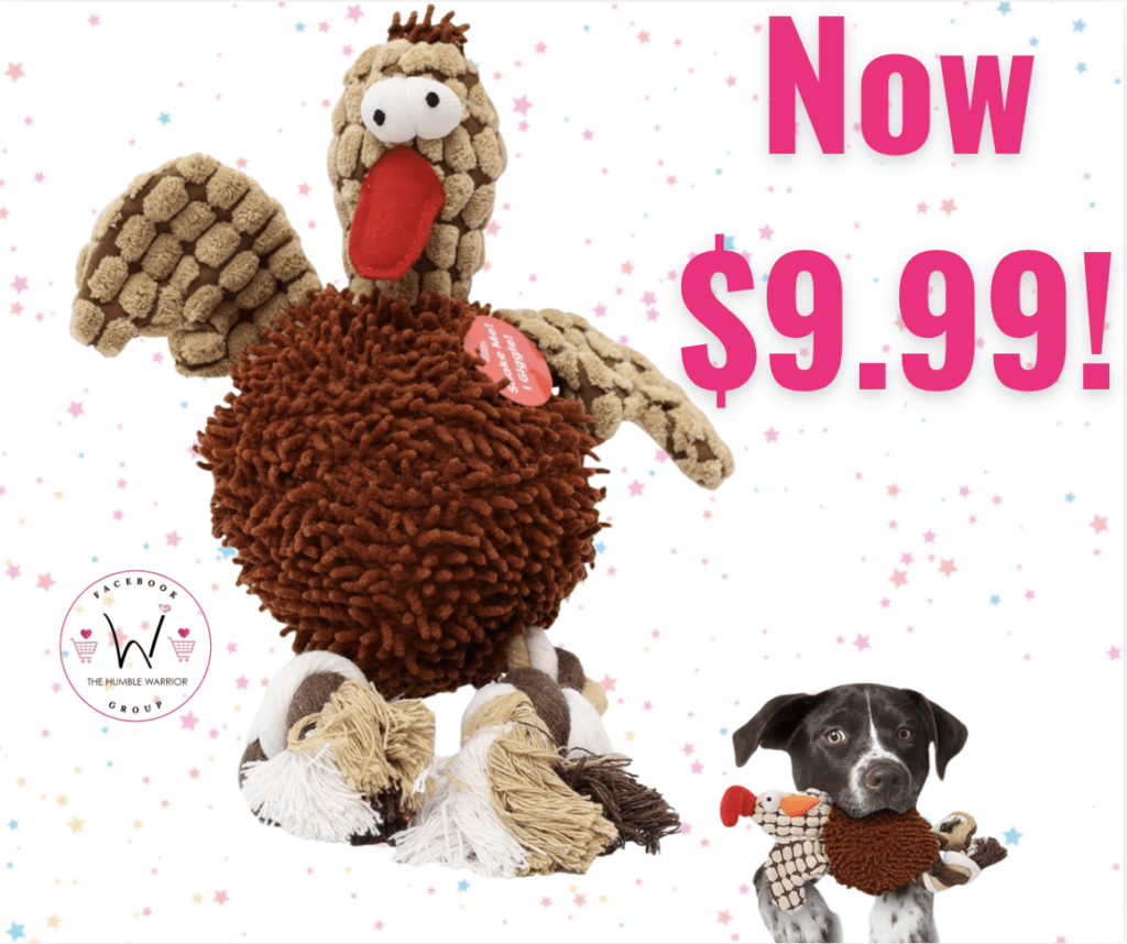 Chicken Dog Toy!